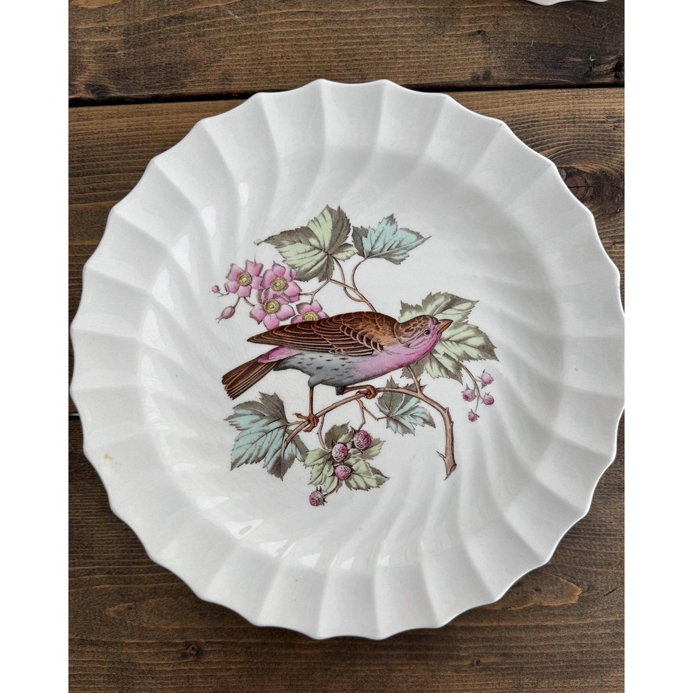 Copeland Spode HOUSE FINCH England  9" Bird Collector Plate Vintage 1960-1970
